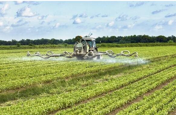 <a href=http://www.wd888.cn/mcy/ target=_blank class=infotextkey>木醋液</a>