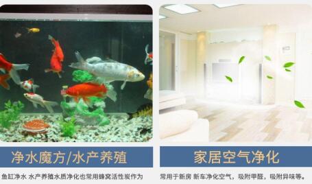 景德鎮(zhèn)<a href=http://www.wd888.cn/fwzhxt/ target=_blank class=infotextkey>蜂窩活性炭</a>一立方多少錢